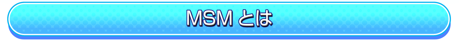MSMとは